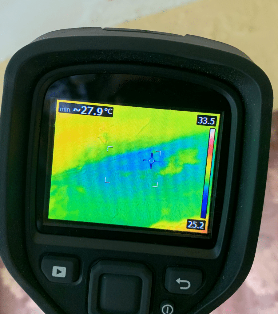 Water Instrusion FLIR