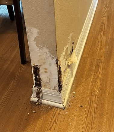 Water damage to interior wall