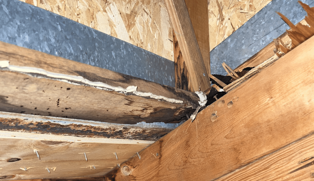 Image of water intrusion on roof joists